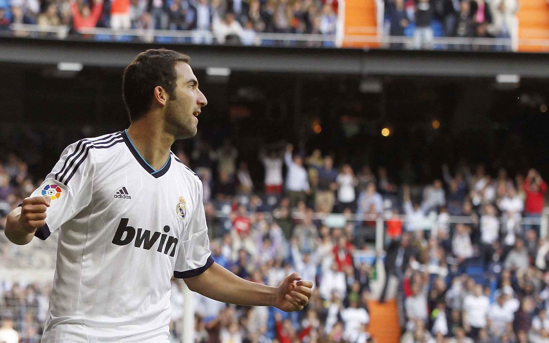 九游(jiuyou)官方网站-“南非羚羊队的新面貌：萨尔·巴赫作为年轻领军人物”